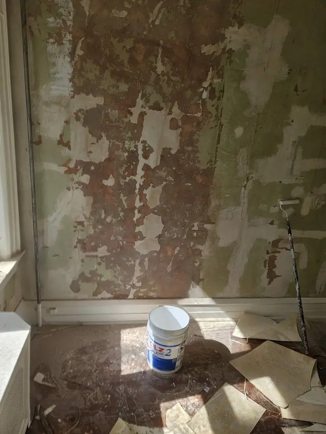 A stripped period wall of failing plaster, patched in places, with a bucket and loose paper on the floor.